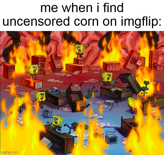 EXTREME PANIC EXTREME PANIC (panda note: corn? You mean this ??) | me when i find uncensored corn on imgflip: | image tagged in spongebob brain chaos | made w/ Imgflip meme maker