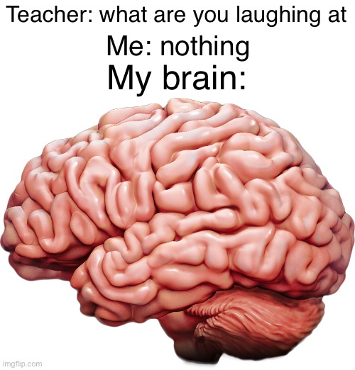 My brain fr | Teacher: what are you laughing at; Me: nothing; My brain: | made w/ Imgflip meme maker
