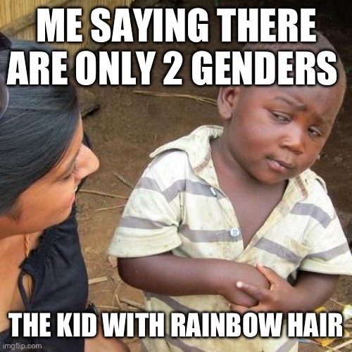 Third World Skeptical Kid | ME SAYING THERE ARE ONLY 2 GENDERS; THE KID WITH RAINBOW HAIR | image tagged in memes,third world skeptical kid | made w/ Imgflip meme maker