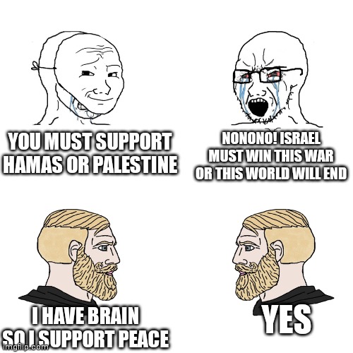 Ikr | NONONO! ISRAEL MUST WIN THIS WAR OR THIS WORLD WILL END; YOU MUST SUPPORT HAMAS OR PALESTINE; YES; I HAVE BRAIN SO I SUPPORT PEACE | image tagged in wojack vs chad,war,palestine,israel | made w/ Imgflip meme maker