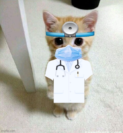 Doktor | image tagged in memes,funny cats,cat doctor | made w/ Imgflip meme maker