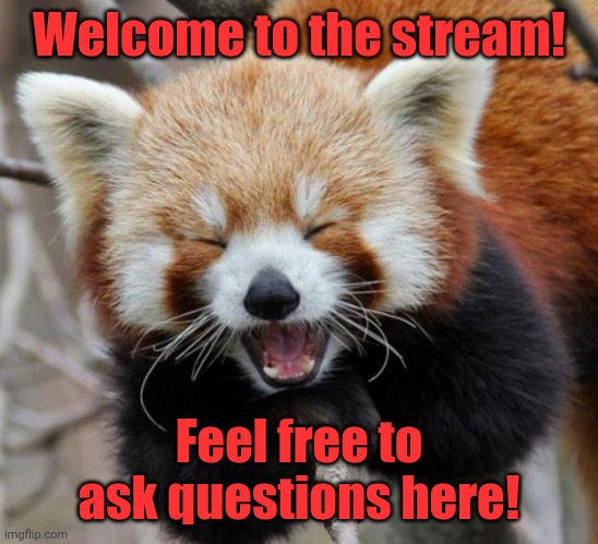 Happy | Welcome to the stream! Feel free to ask questions here! | image tagged in red panda | made w/ Imgflip meme maker