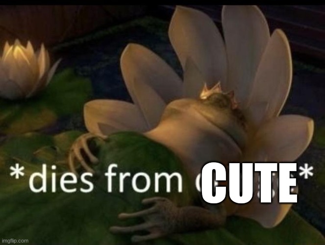 Dies from cringe | CUTE | image tagged in dies from cringe | made w/ Imgflip meme maker