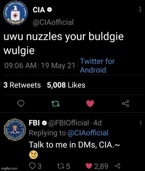 Uwu cia Blank Meme Template