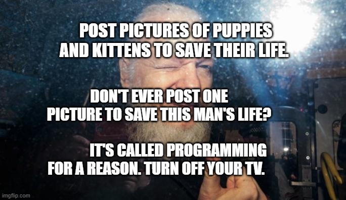 Julian Assange | POST PICTURES OF PUPPIES AND KITTENS TO SAVE THEIR LIFE. DON'T EVER POST ONE PICTURE TO SAVE THIS MAN'S LIFE?                    
             IT'S CALLED PROGRAMMING FOR A REASON. TURN OFF YOUR TV. | image tagged in julian assange | made w/ Imgflip meme maker