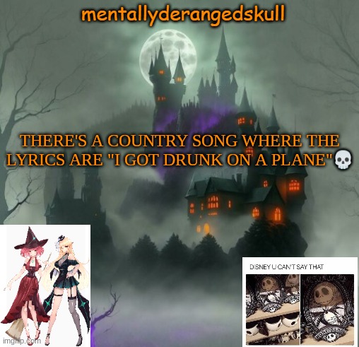 THERE'S A COUNTRY SONG WHERE THE LYRICS ARE "I GOT DRUNK ON A PLANE"💀 | image tagged in mentallyderangedskull | made w/ Imgflip meme maker