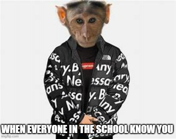 MONKEY | WHEN EVERYONE IN THE SCHOOL KNOW YOU | image tagged in monkey | made w/ Imgflip meme maker