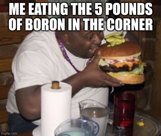 Fat guy eating burger | ME EATING THE 5 POUNDS OF BORON IN THE CORNER | image tagged in fat guy eating burger | made w/ Imgflip meme maker