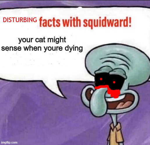 now you have nightmares | DISTURBING; your cat might sense when youre dying | image tagged in fun facts with squidward | made w/ Imgflip meme maker