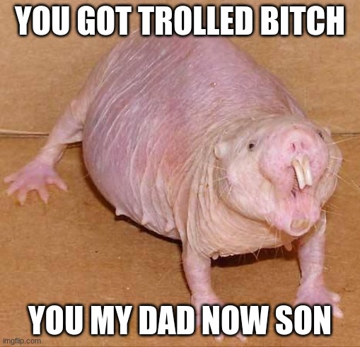 naked mole rat | YOU GOT TROLLED BITCH YOU MY DAD NOW SON | image tagged in naked mole rat | made w/ Imgflip meme maker