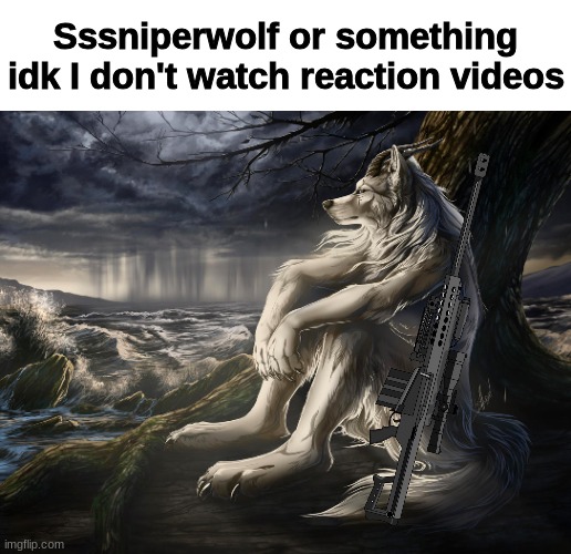 Sitting Wolf | Sssniperwolf or something idk I don't watch reaction videos | image tagged in sitting wolf | made w/ Imgflip meme maker