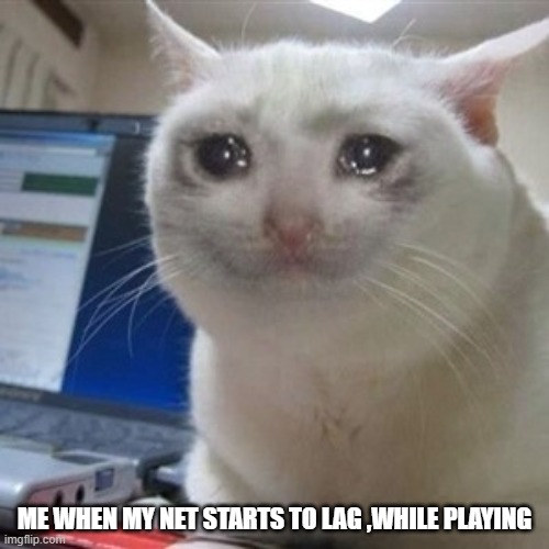 Crying cat | ME WHEN MY NET STARTS TO LAG ,WHILE PLAYING | image tagged in crying cat | made w/ Imgflip meme maker