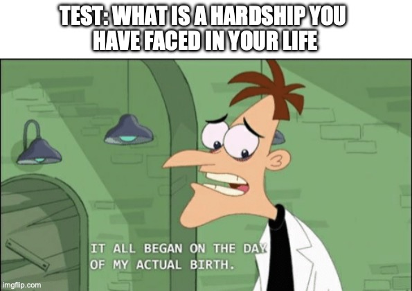 It all began on the day of my actual birth | TEST: WHAT IS A HARDSHIP YOU 
HAVE FACED IN YOUR LIFE | image tagged in it all began on the day of my actual birth | made w/ Imgflip meme maker