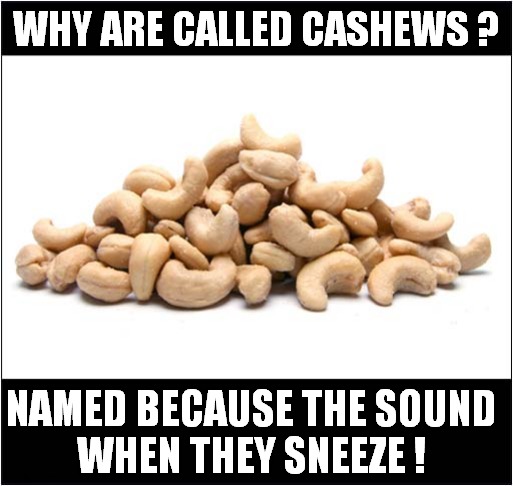 This Is Nuts ! | WHY ARE CALLED CASHEWS ? NAMED BECAUSE THE SOUND
WHEN THEY SNEEZE ! | image tagged in nuts,cashew,sneeze | made w/ Imgflip meme maker