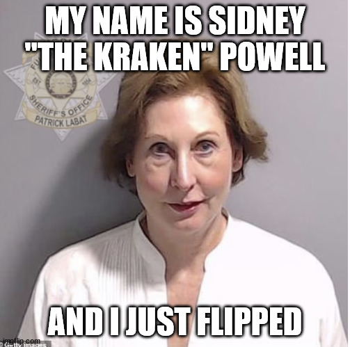 Sidney Powell | MY NAME IS SIDNEY "THE KRAKEN" POWELL; AND I JUST FLIPPED | image tagged in sidney powell | made w/ Imgflip meme maker
