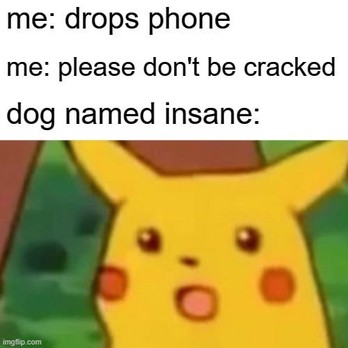 dog named insane: | me: drops phone; me: please don't be cracked; dog named insane: | image tagged in memes,surprised pikachu | made w/ Imgflip meme maker
