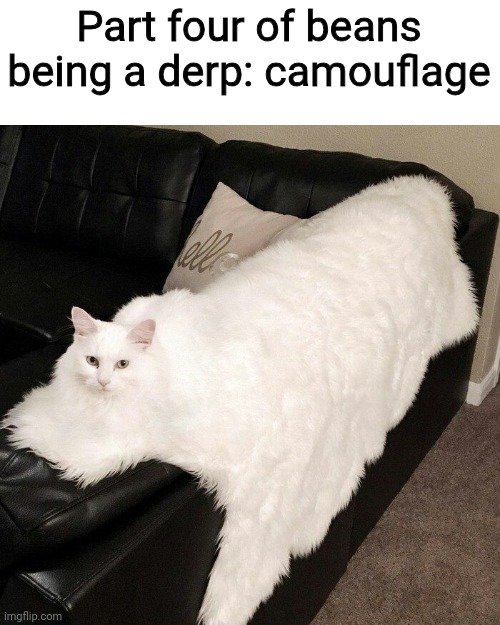 I don't know why he loves carpets :D | Part four of beans being a derp: camouflage | image tagged in cats,cute,why,funny,fun stream | made w/ Imgflip meme maker