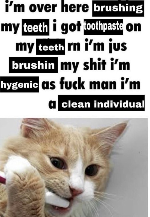 im over here brushing my teeth | image tagged in im over here brushing my teeth | made w/ Imgflip meme maker