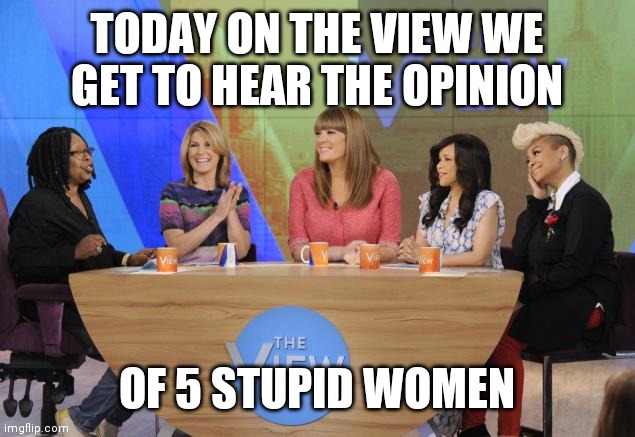 5 stupid women | TODAY ON THE VIEW WE GET TO HEAR THE OPINION; OF 5 STUPID WOMEN | image tagged in the view,funny meme | made w/ Imgflip meme maker