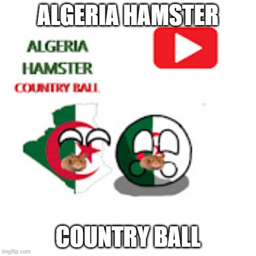 algeria hamster country ball | ALGERIA HAMSTER; COUNTRY BALL | image tagged in algeria hamster country ball | made w/ Imgflip meme maker