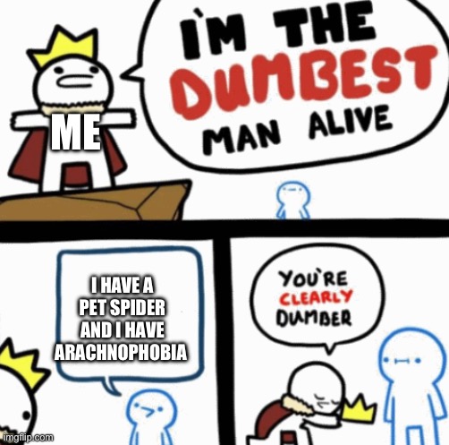 Dumbest man alive | ME; I HAVE A PET SPIDER AND I HAVE ARACHNOPHOBIA | image tagged in dumbest man alive | made w/ Imgflip meme maker