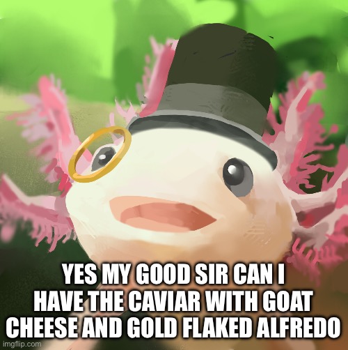 Jit trippin | YES MY GOOD SIR CAN I HAVE THE CAVIAR WITH GOAT CHEESE AND GOLD FLAKED ALFREDO | image tagged in dapper axolotl | made w/ Imgflip meme maker