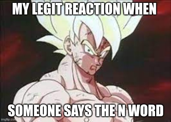 My Legit Reaction | MY LEGIT REACTION WHEN; SOMEONE SAYS THE N WORD | image tagged in goku drip | made w/ Imgflip meme maker