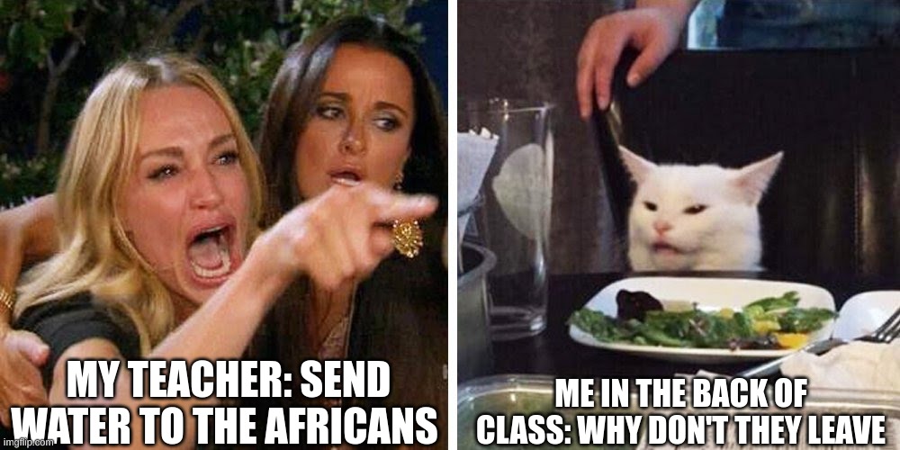 Smudge the cat | MY TEACHER: SEND WATER TO THE AFRICANS; ME IN THE BACK OF CLASS: WHY DON'T THEY LEAVE | image tagged in smudge the cat | made w/ Imgflip meme maker