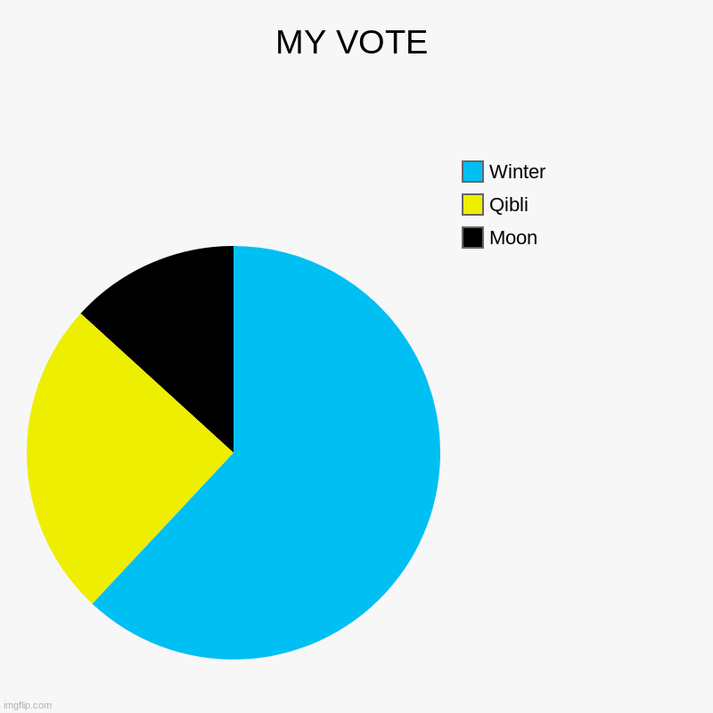 MY VOTE | MY VOTE | Moon, Qibli, Winter | image tagged in charts,pie charts | made w/ Imgflip chart maker