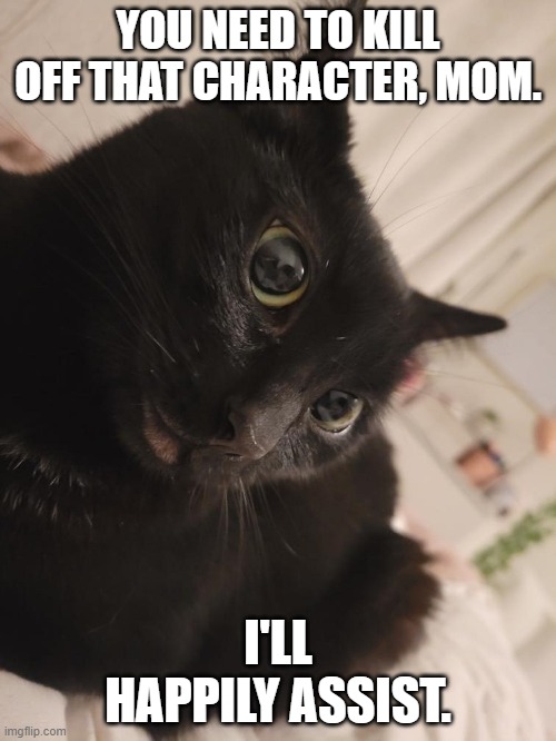 Assisting the author | YOU NEED TO KILL OFF THAT CHARACTER, MOM. I'LL HAPPILY ASSIST. | image tagged in cats,authors | made w/ Imgflip meme maker