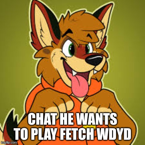 CHAT HE WANTS TO PLAY FETCH WDYD | made w/ Imgflip meme maker