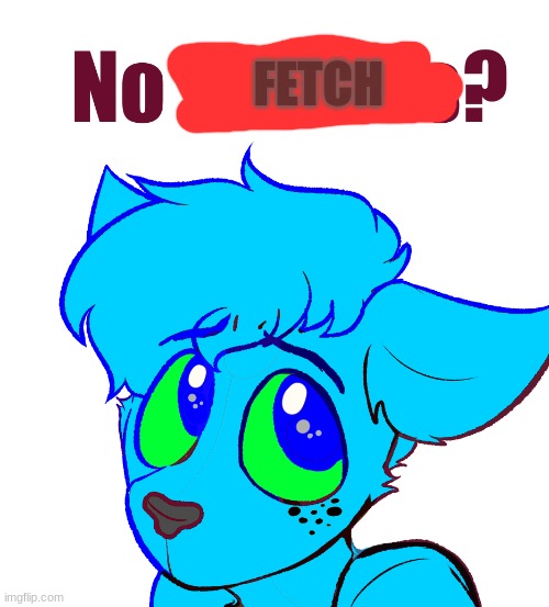 Retro no bitches | FETCH | image tagged in retro no bitches | made w/ Imgflip meme maker