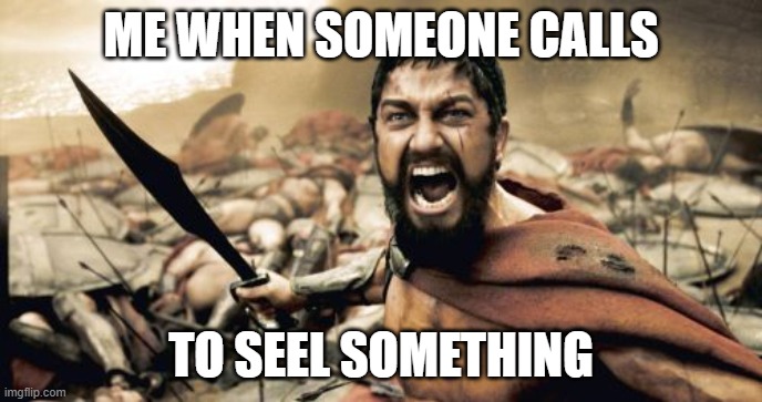 angry | ME WHEN SOMEONE CALLS; TO SEEL SOMETHING | image tagged in memes,sparta leonidas | made w/ Imgflip meme maker