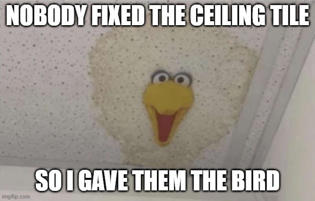 Leaky Bird | NOBODY FIXED THE CEILING TILE; SO I GAVE THEM THE BIRD | image tagged in big bird,sesame street | made w/ Imgflip meme maker