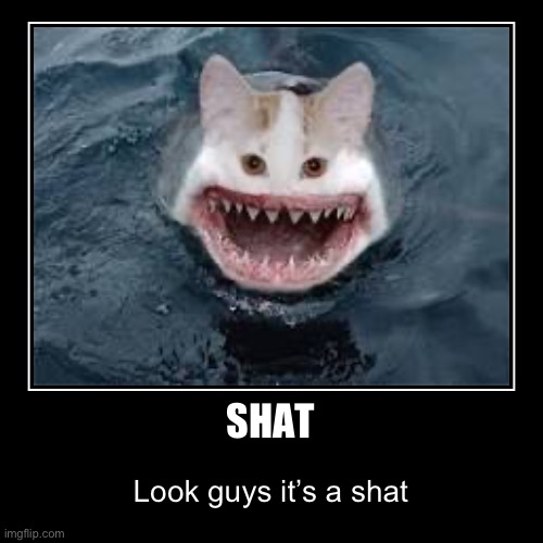Or is it a cark | SHAT | Look guys it’s a shat | image tagged in funny,demotivationals,memes | made w/ Imgflip demotivational maker