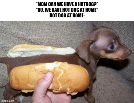 asian hot dog | ''MOM CAN WE HAVE A HOTDOG?''
''NO, WE HAVE HOT DOG AT HOME''
HOT DOG AT HOME: | image tagged in asian hot dog | made w/ Imgflip meme maker