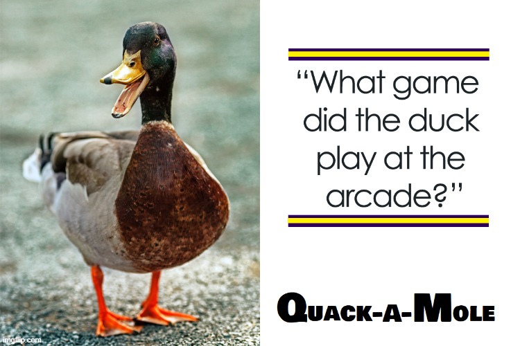 Quackser Fortune presents... | image tagged in vince vance,ducks,jokes,memes,whack-a-mole,riddle | made w/ Imgflip meme maker