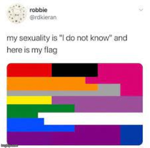 I do not know my sexuality please help | image tagged in lgbtq | made w/ Imgflip meme maker