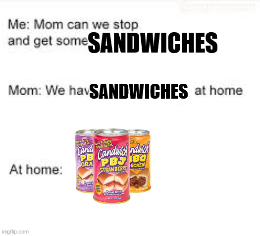 we have food at home | SANDWICHES; SANDWICHES | image tagged in we have food at home | made w/ Imgflip meme maker