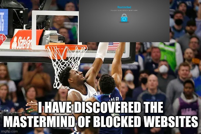 I HAVE DISCOVERED THE MASTERMIND OF BLOCKED WEBSITES | image tagged in basketball | made w/ Imgflip meme maker
