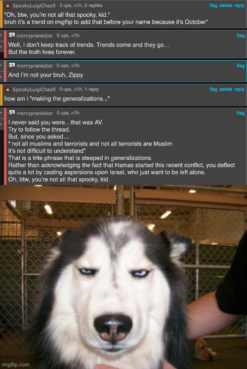 politics users :coffee: | image tagged in annoyed dog | made w/ Imgflip meme maker