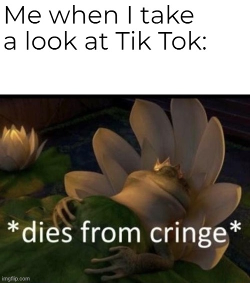 MY EYES!!! | Me when I take a look at Tik Tok: | image tagged in dies from cringe,tiktok | made w/ Imgflip meme maker