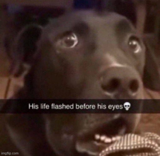 His life flashed before his eyes | image tagged in his life flashed before his eyes | made w/ Imgflip meme maker