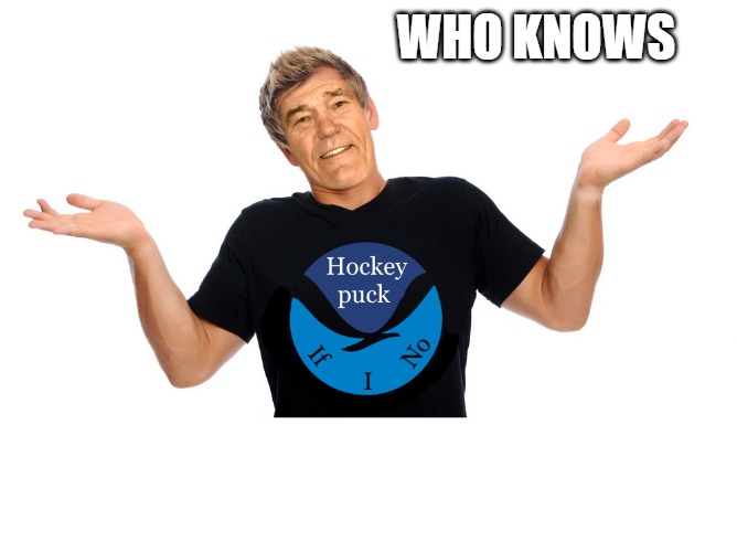 WHO KNOWS | image tagged in hokey puck if i no | made w/ Imgflip meme maker