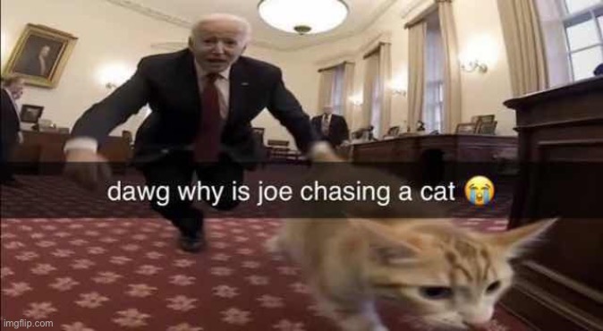 Joe chasing a cat Blank Meme Template