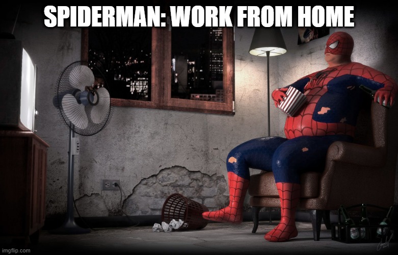 New Spiderman | SPIDERMAN: WORK FROM HOME | image tagged in spiderman | made w/ Imgflip meme maker