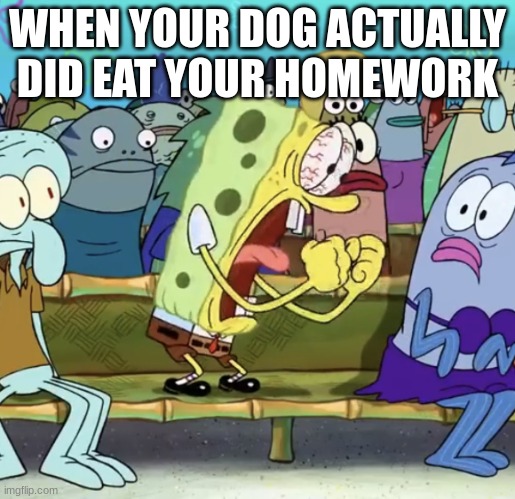 Spongebob Yelling | WHEN YOUR DOG ACTUALLY DID EAT YOUR HOMEWORK | image tagged in spongebob yelling,homework,dog | made w/ Imgflip meme maker