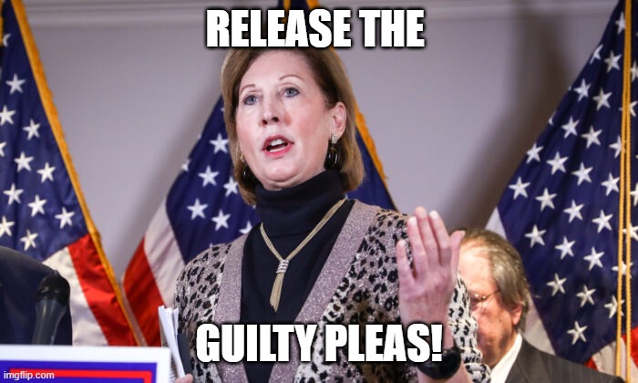 Sidney Powell Crazytown | RELEASE THE; GUILTY PLEAS! | image tagged in sidney powell crazytown | made w/ Imgflip meme maker