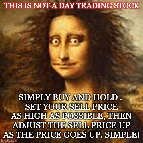 THIS IS NOT A DAY TRADING STOCK; SIMPLY BUY AND HOLD . 
SET YOUR SELL PRICE AS HIGH AS POSSIBLE, THEN ADJUST THE SELL PRICE UP AS THE PRICE GOES UP. SIMPLE! | made w/ Imgflip meme maker