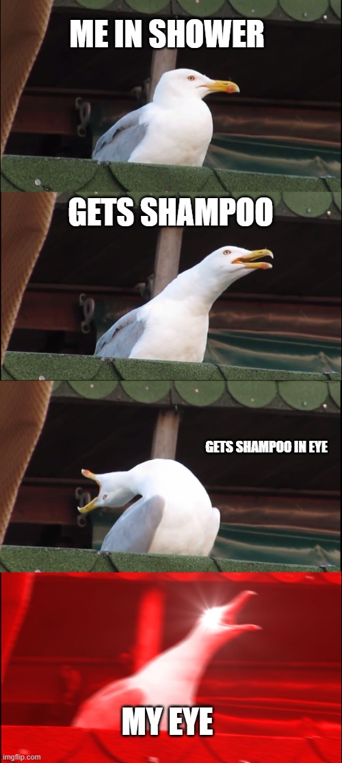 Anyone relate | ME IN SHOWER; GETS SHAMPOO; GETS SHAMPOO IN EYE; MY EYE | image tagged in memes,inhaling seagull | made w/ Imgflip meme maker